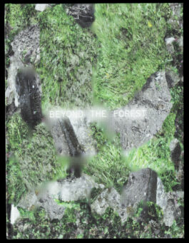 STUDIO OLIVER JAUSLIN