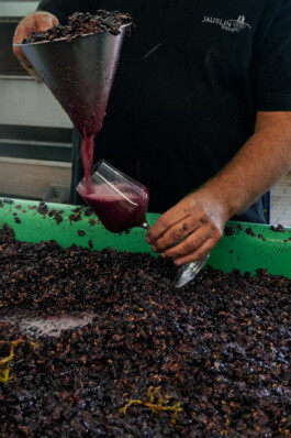 STUDIO OLIVER JAUSLIN