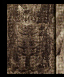 STUDIO OLIVER JAUSLIN