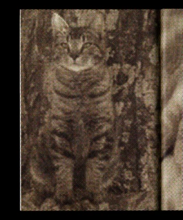 STUDIO OLIVER JAUSLIN