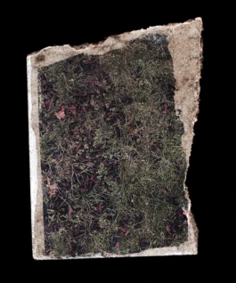 STUDIO OLIVER JAUSLIN